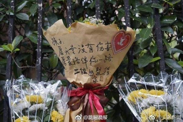 内尔高：加盟阿森纳实现了我的欧冠梦，我会为俱乐部竭尽所能